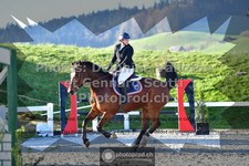ref. photo 3564114