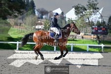 ref. photo 3564115