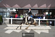 ref. photo 3564130