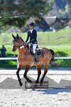 ref. photo 3564169