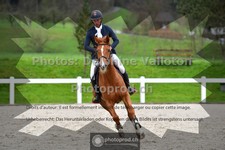 ref. photo 3564185