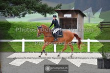 ref. photo 3564206