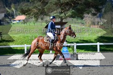 ref. photo 3564241