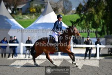 ref. photo 3564243