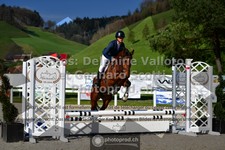 ref. photo 3564244