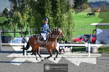 ref. photo 3564246