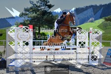 ref. photo 3564257