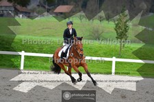 ref. photo 3564279