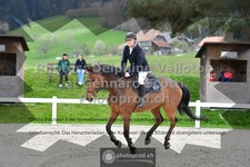 ref. photo 3564300