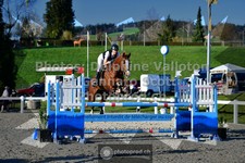 ref. photo 3564329
