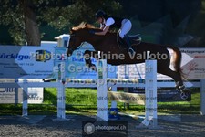 ref. photo 3564330