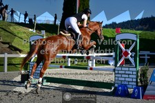 ref. photo 3564332