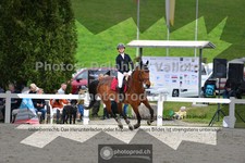 ref. photo 3564337
