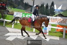 ref. photo 3564350