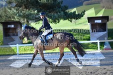 ref. photo 3564384