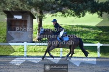 ref. photo 3564394