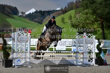 ref. photo 3564398