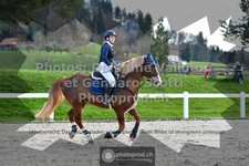 ref. photo 3564406