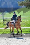 ref. photo 3564432