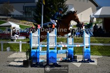 ref. photo 3564435
