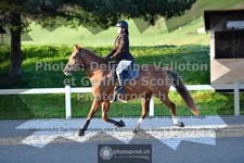 ref. photo 3564440