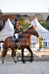 ref. photo 3564441