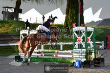 ref. photo 3564447