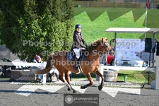 ref. photo 3564465