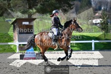 ref. photo 3564466