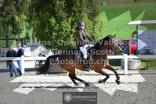 ref. photo 3564468