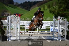 ref. photo 3564469