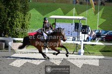 ref. photo 3564471