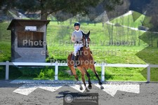 ref. photo 3564473
