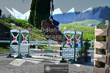 ref. photo 3564515