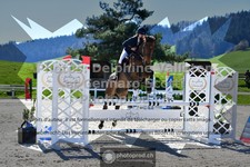 ref. photo 3564522