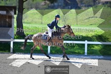 ref. photo 3564526