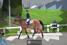 ref. photo 3564529