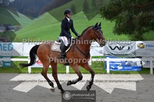 ref. photo 3564542