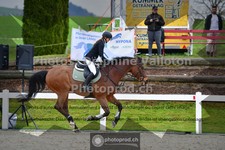ref. photo 3564553