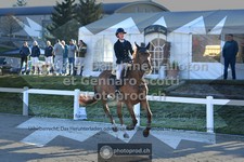 ref. photo 3564596