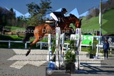 ref. photo 3564602