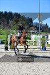 ref. photo 3564615