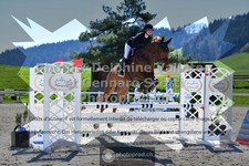 ref. photo 3564618