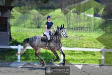ref. photo 3564624