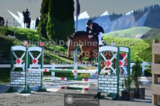 ref. photo 3564654