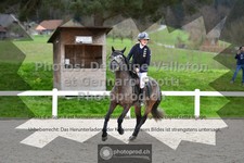 ref. photo 3564726