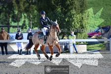 ref. photo 3564762