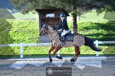 ref. photo 3564767