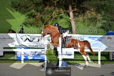 ref. photo 3564844