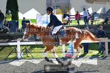 ref. photo 3564860